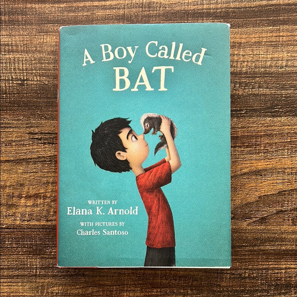A Boy Called BAT Book